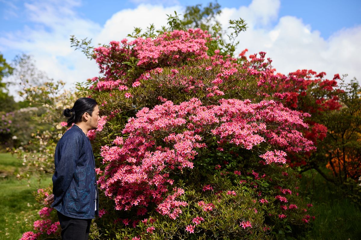 Yusuke Yamamoto looking around Temple Newsam's garden