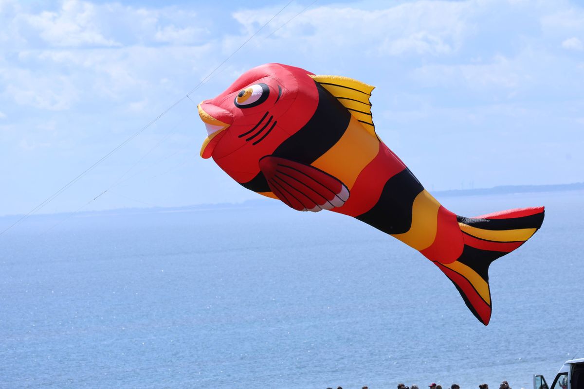 the side of a red, yellow and black striped fish kite in the sky
