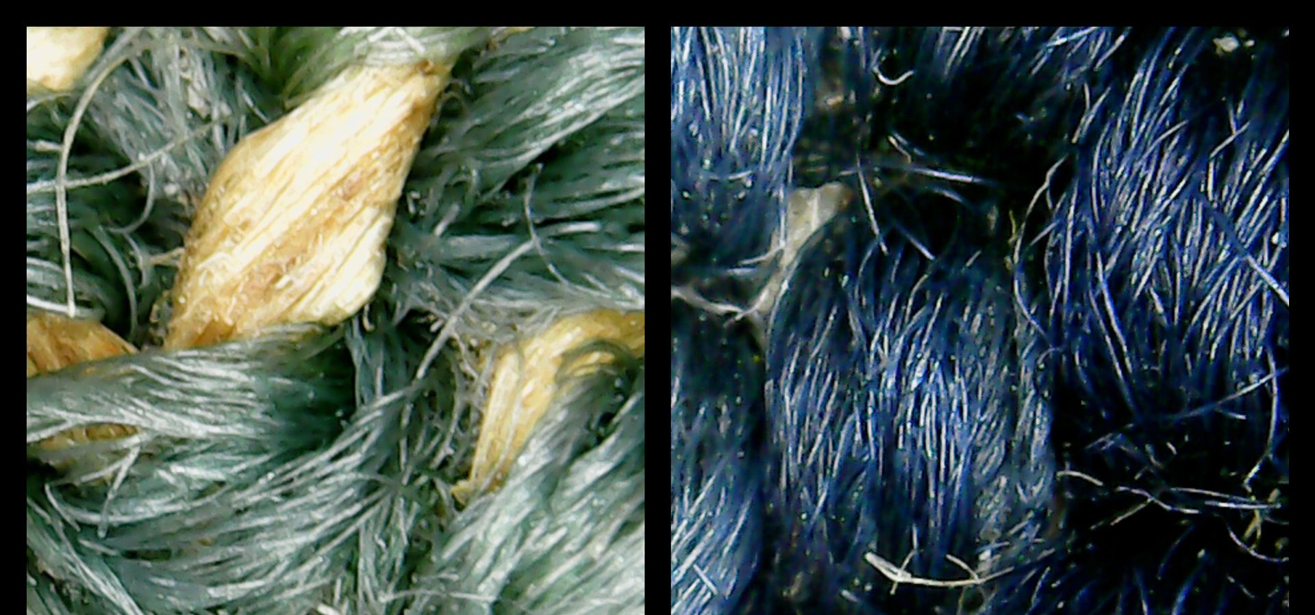 Close up of blue and green fibres