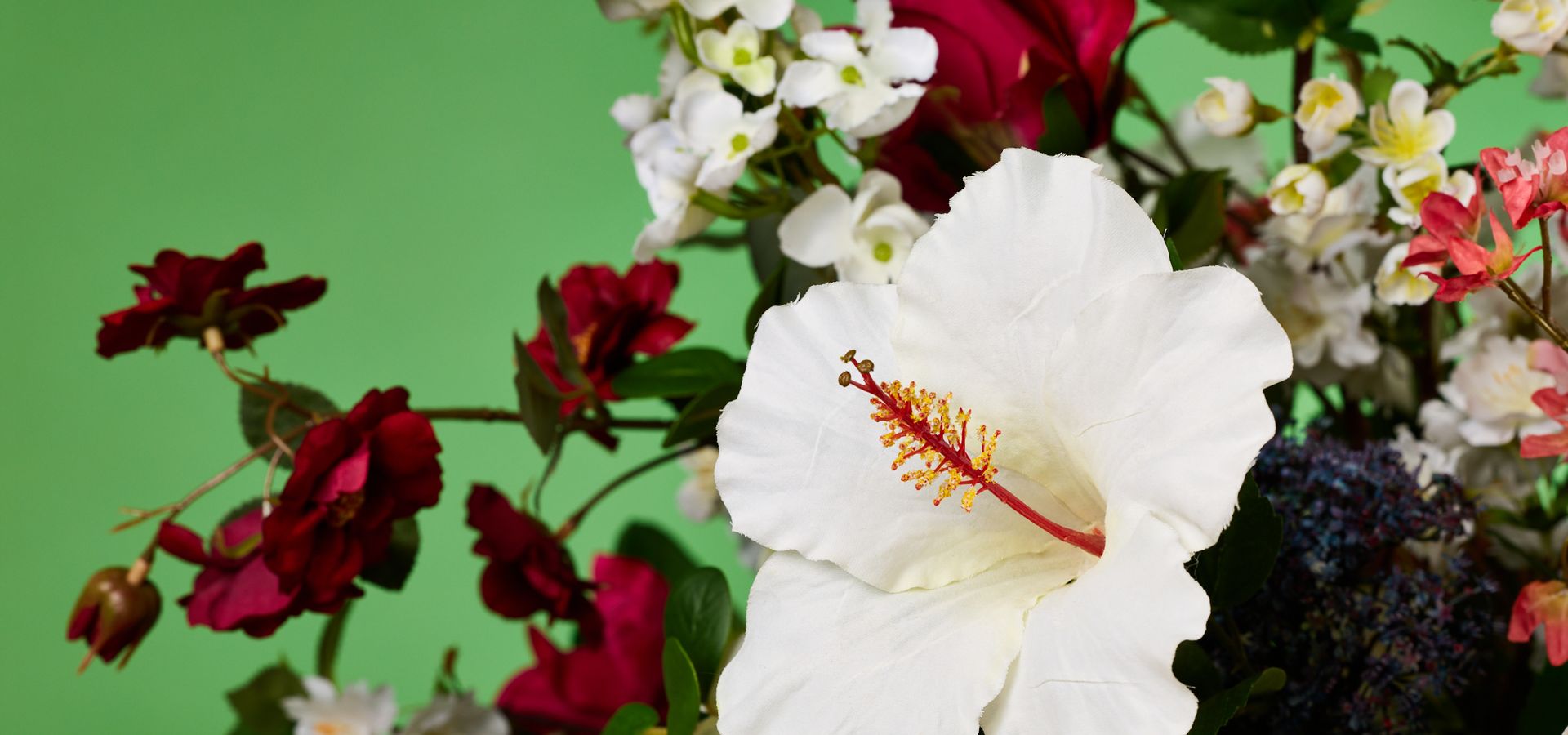 Close up of flowers on a green background