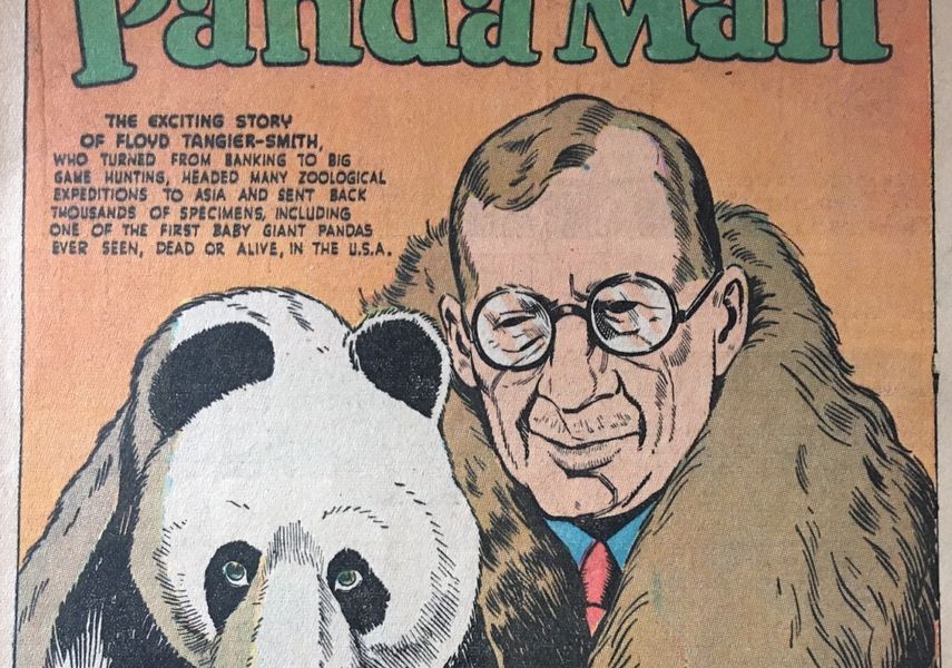 A vintage comic book cover called Panda Man.