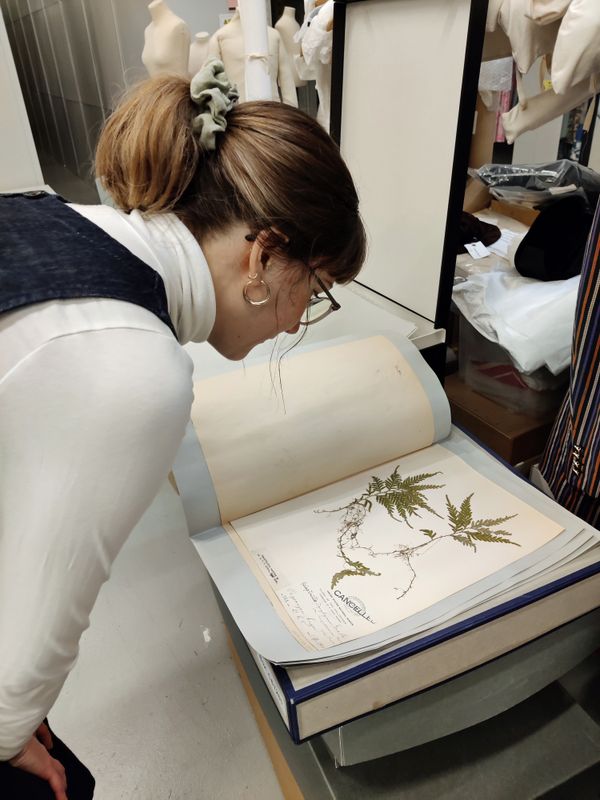 A woman looking at at herbarium sheet
