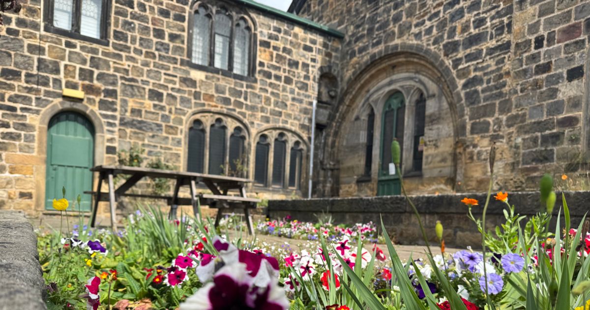 How To Meditate — Wellbeing Week