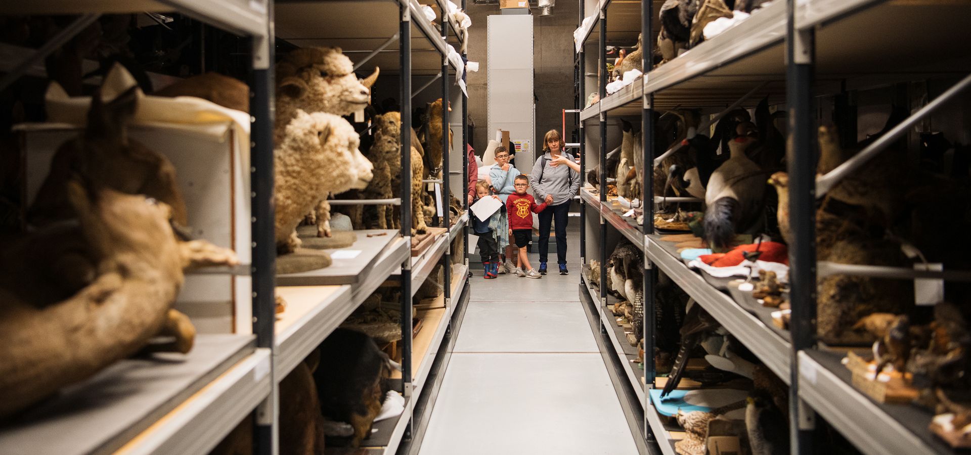 A family group looking down a storage aisle with taxidermy animals on