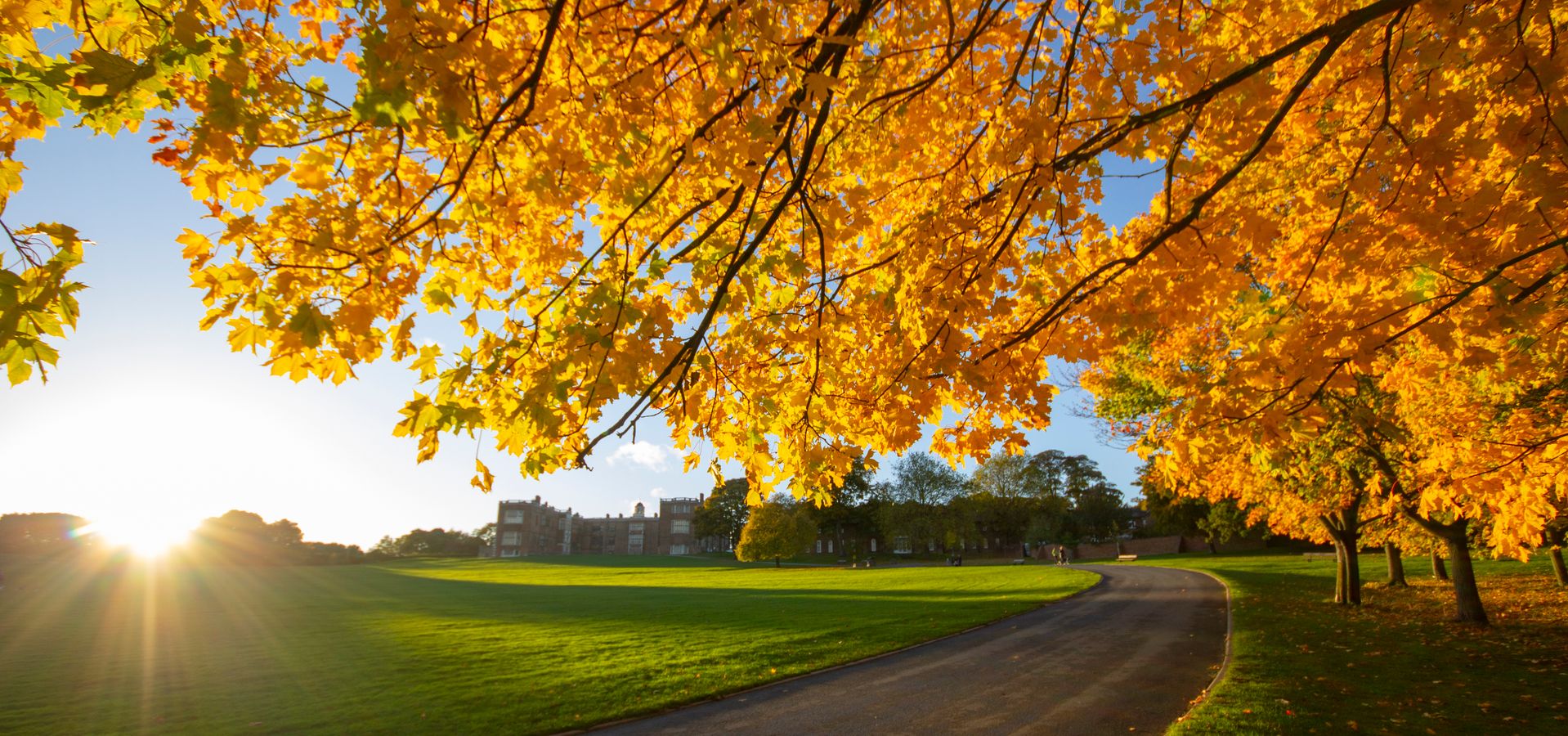 Autumn trees at Temple Newsam with the house in the background