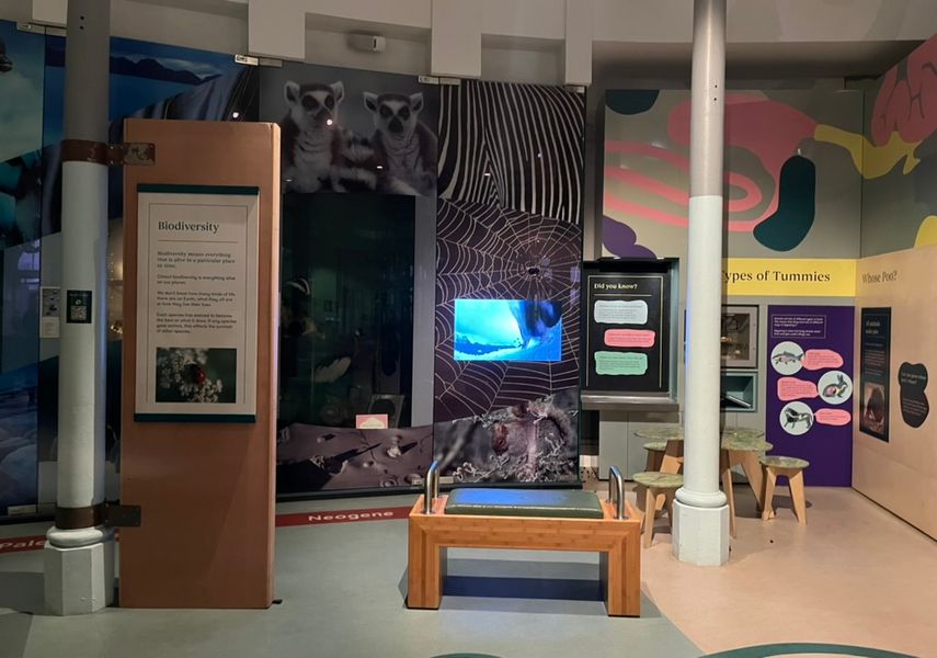 A display in the Life on Earth Gallery that features a screen with a bench in front of it.