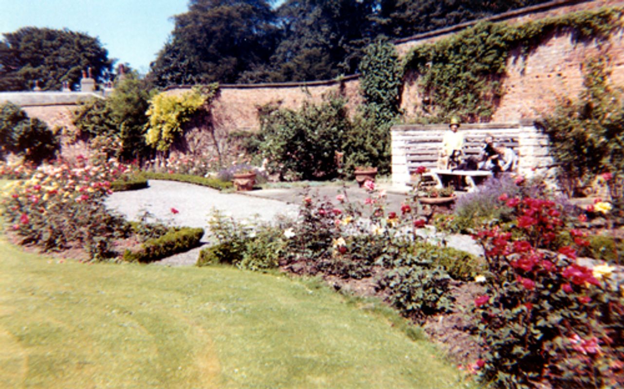 an archive image of the rose garden