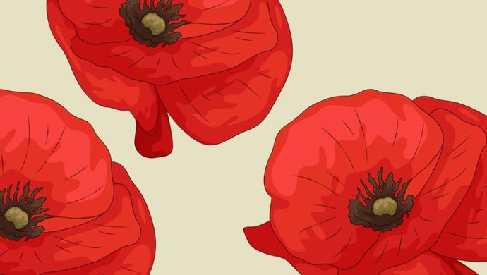 Red illustrated poppies on a beige background