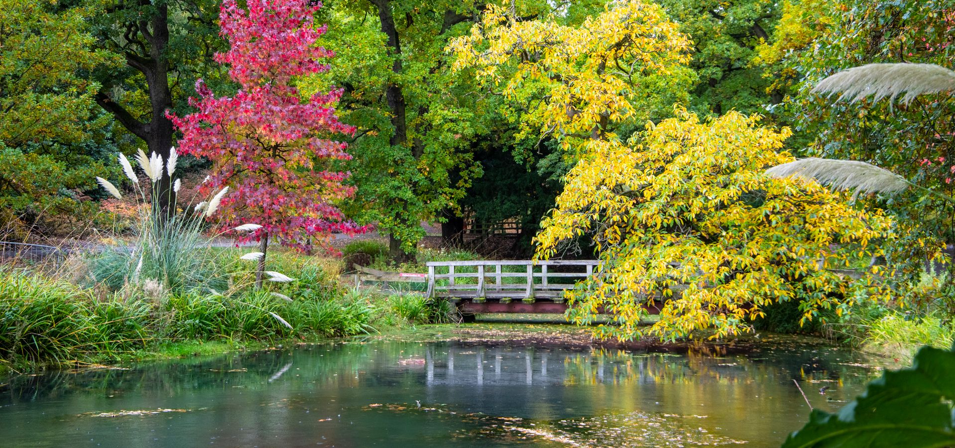 The lakes at Temple Newsam in autumn 