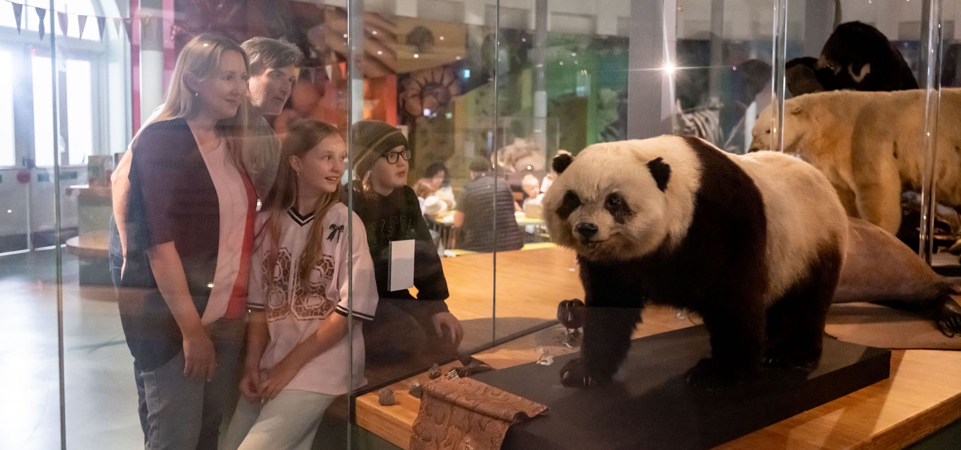 A family looking at a panda in a museum