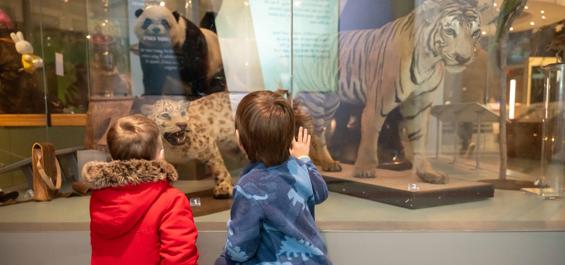 Two children looking at taxidermy animals in the Life On Earth Gallery