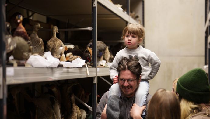 A child sat on an adults shoulders looking at taxidery birds in Leeds Discovery Centre