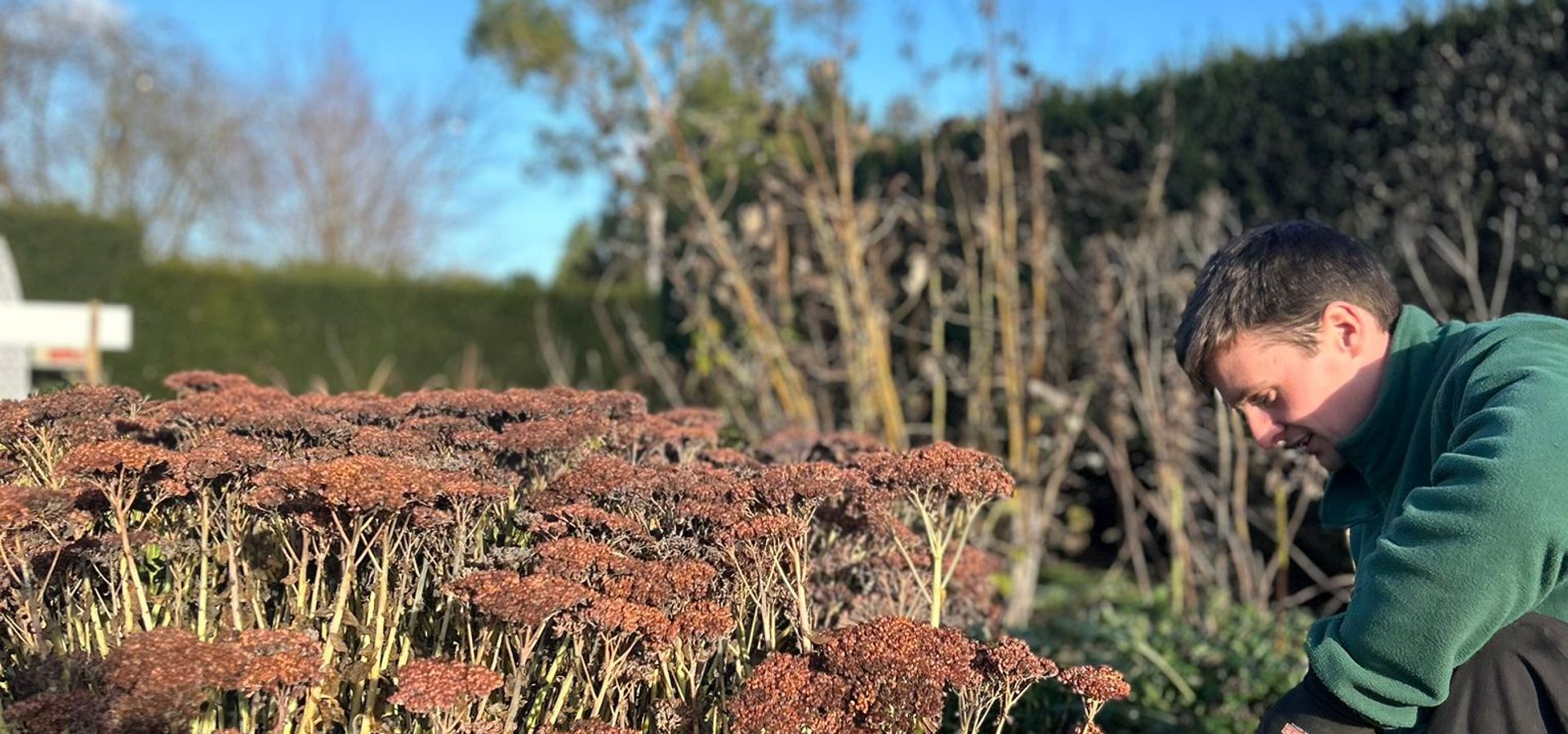 A person in a green top gardening in a patch of soil with a bush in