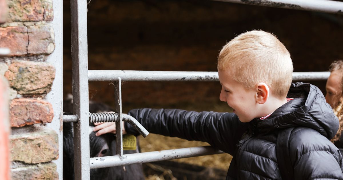 Toddler Farm Tours