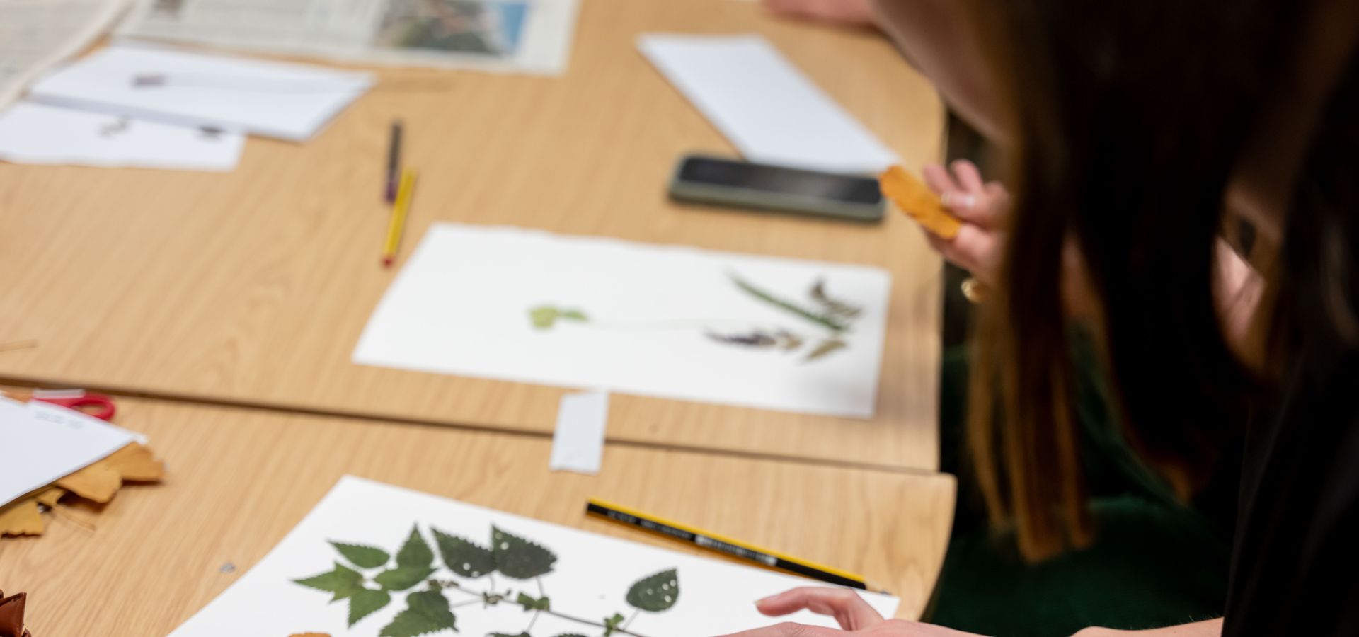 Hands working on a herbarium sheet craft activity