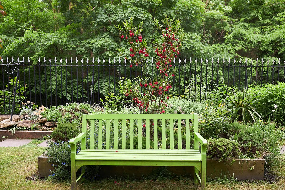 A green bench in a garden