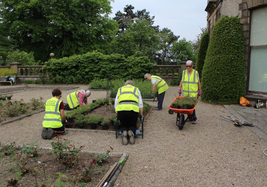 Volunteers restoring the heather garden at Lotherton