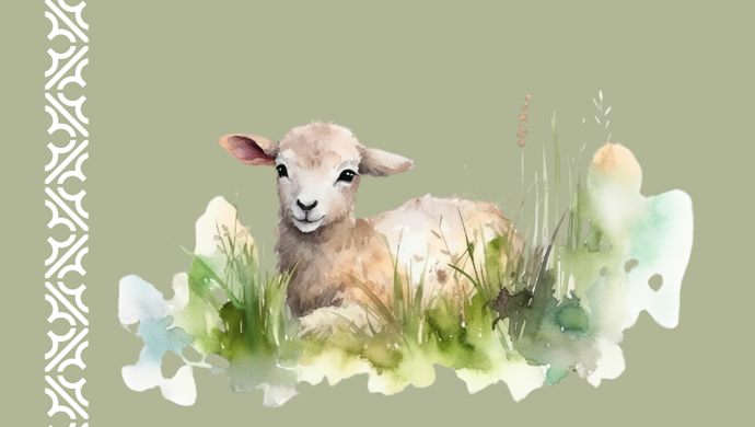 an illustration of a sheep with grass and clouds shapes around on a khaki background