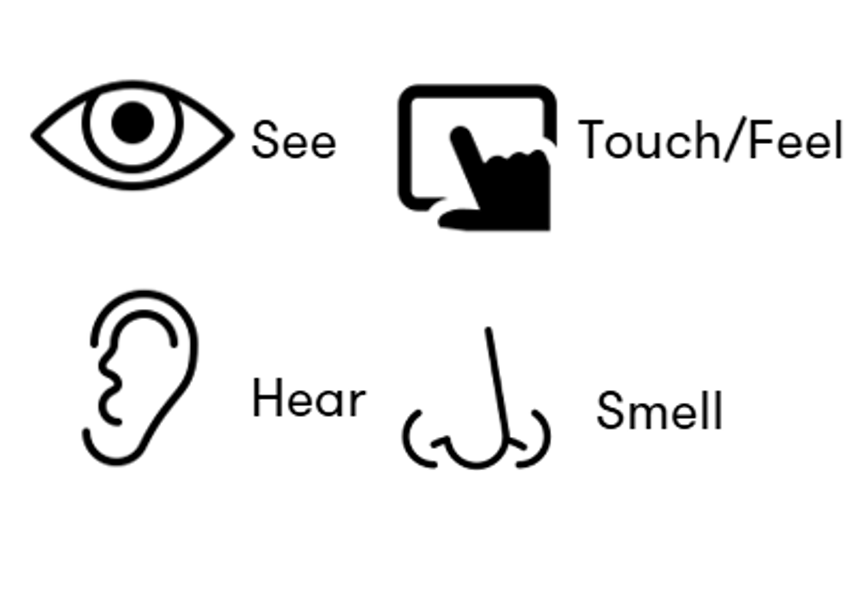 See, Touch/Feel, Hear and Smell symbols