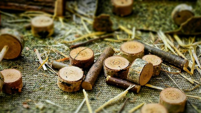 Chopped slices of wood on the floor