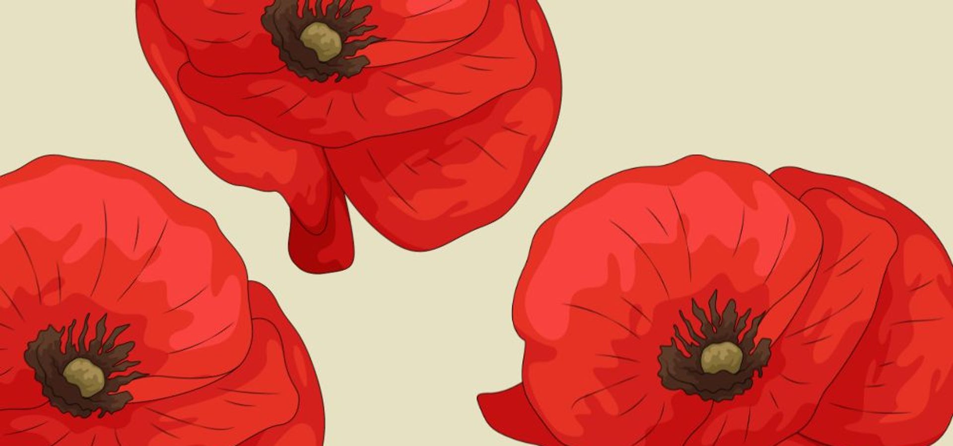 Red illustrated poppies on a beige background
