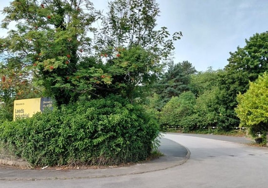 Photo of road with trees surrounding