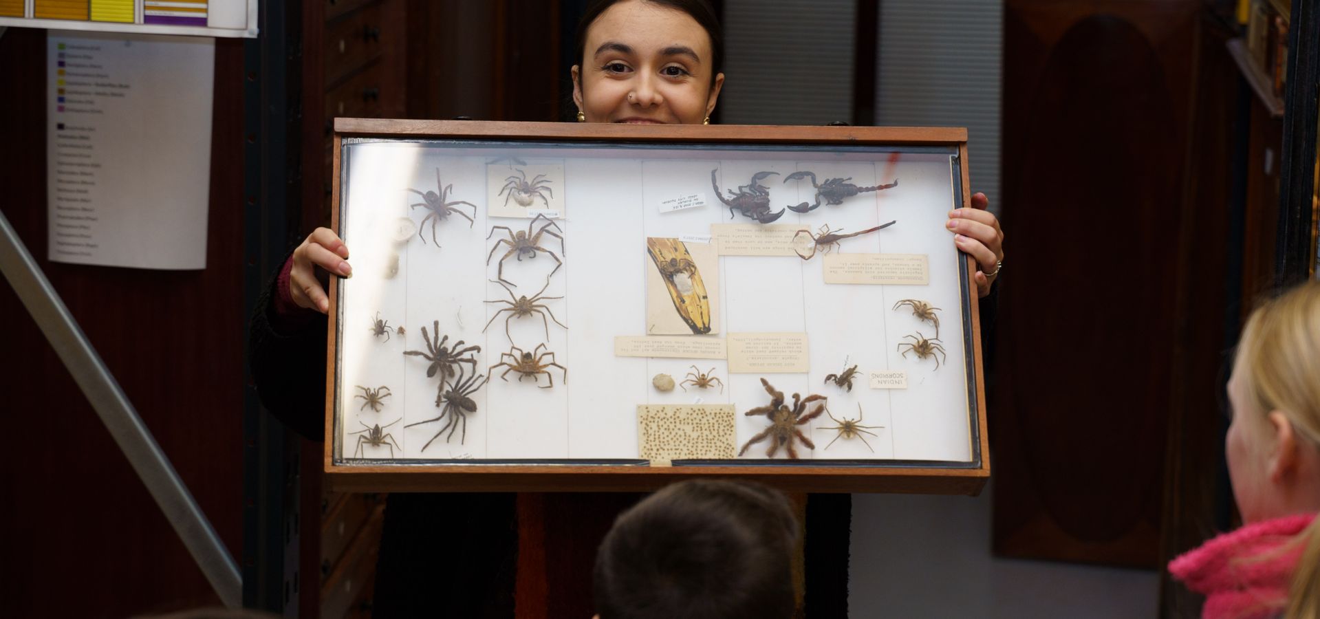 A workshop faciliator holding a box of preserved spiders and insects