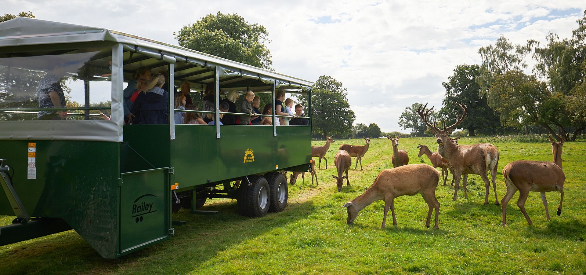 People on a trailer looking at Deer