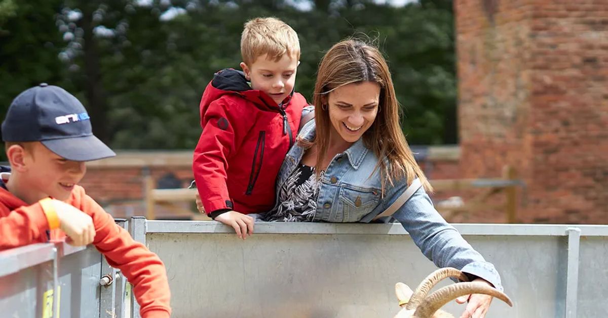 Temple Newsam Home Farm and Play Barn in Leeds