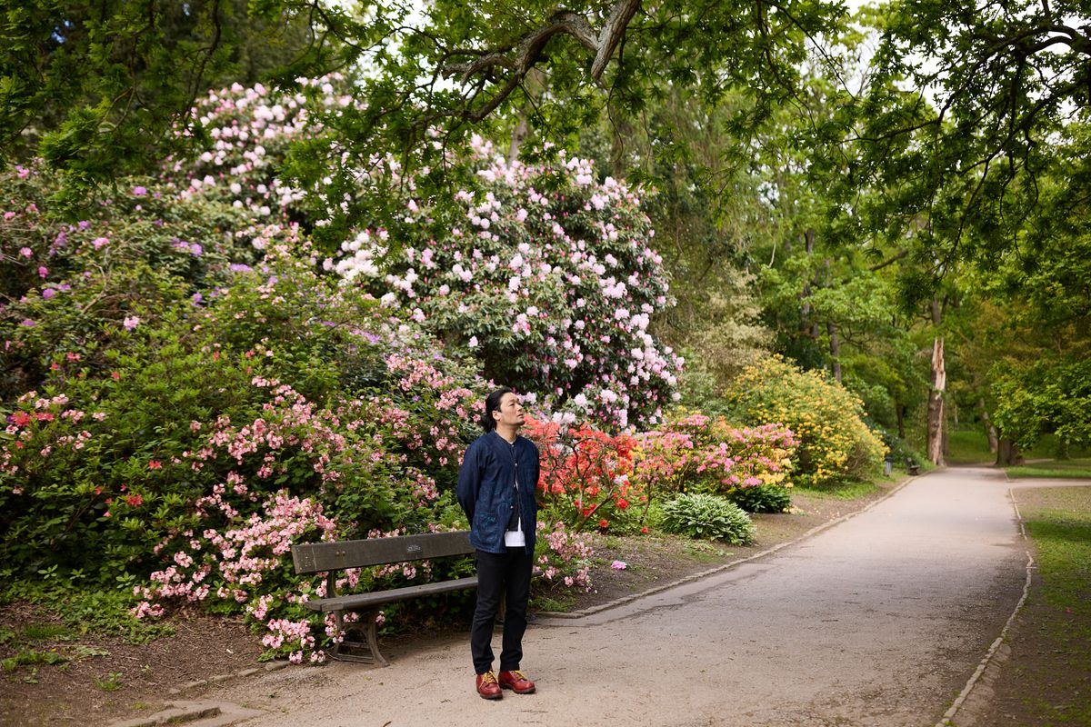 Yusuke Yamamoto looking around Temple Newsam's garden