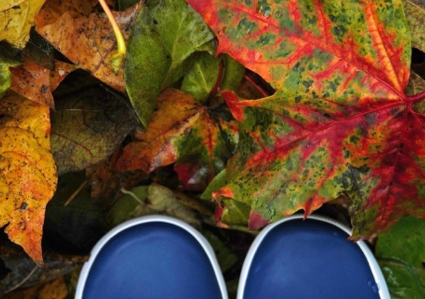 image of autumn leaves with shoes 