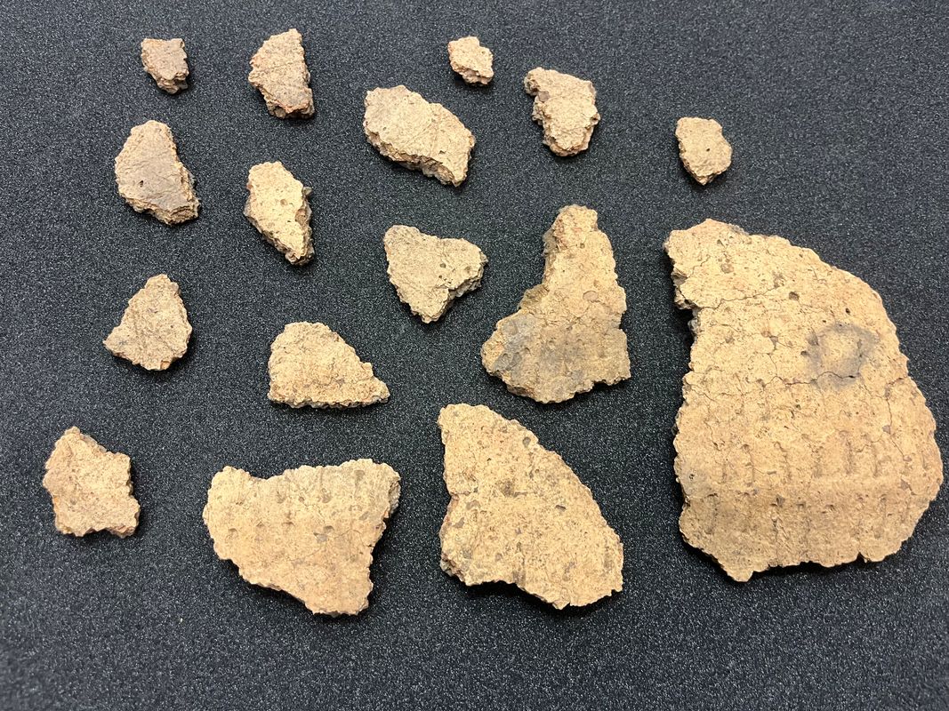 Some of the ancient Bronze Age finds made at Pitty Close Farm in Drighlington, Leeds. As well as the cremated remains of a child and three adults, the dig uncovered fragments of a decorated clay urn.