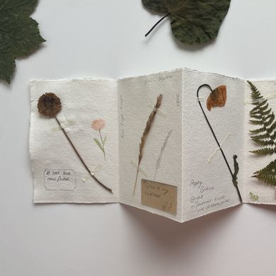 A folded piece of paper with pressed plants on