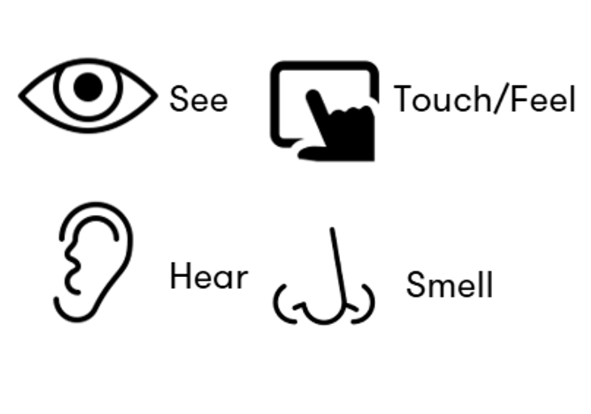 See, Touch/Feel, Hear and Smell symbols
