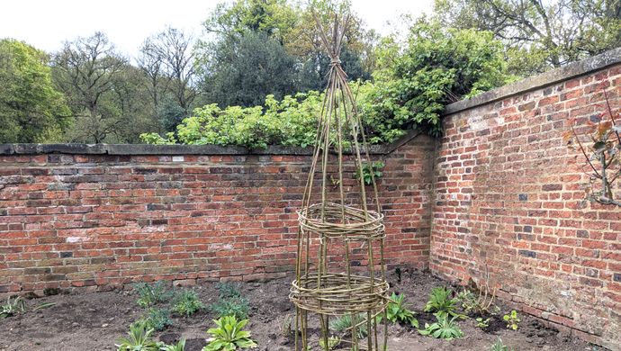 Image of a willow obelisk in the Walled Garden
