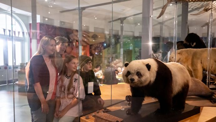 A family looking at a panda in a museum