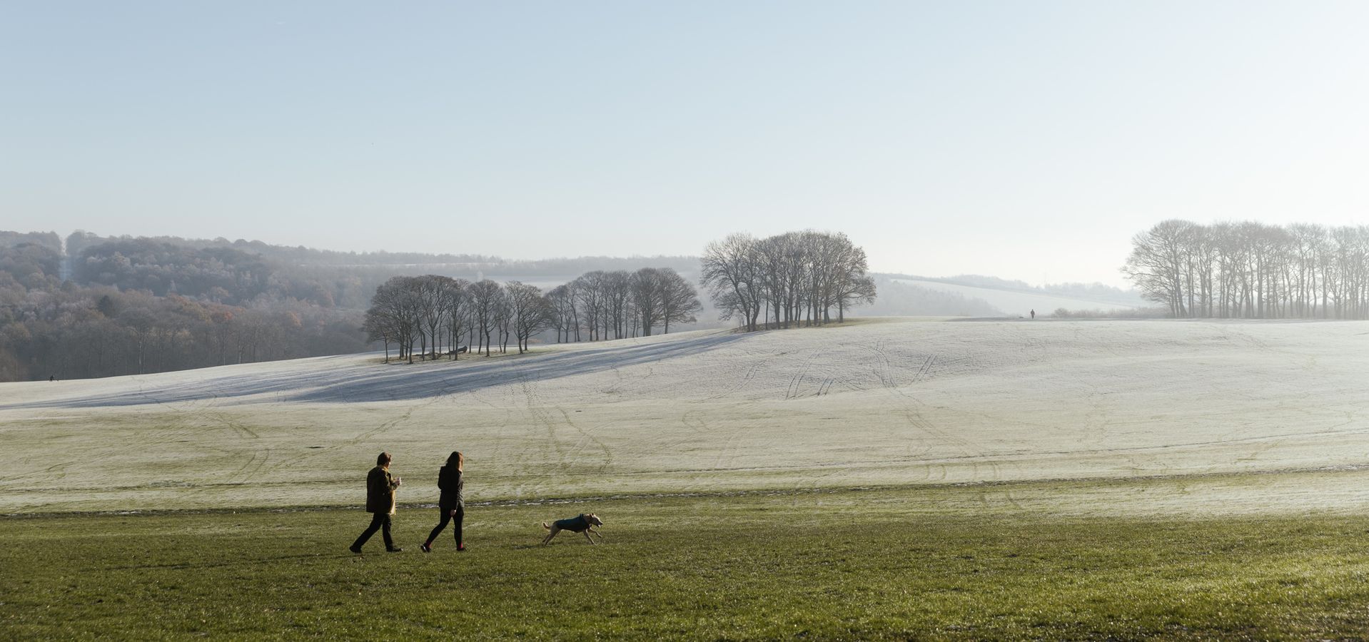 Winter at Temple Newsam Estate