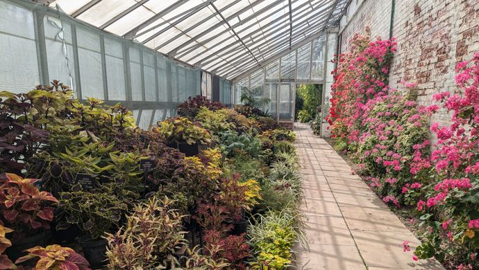 Greenhouse with flowers on each side