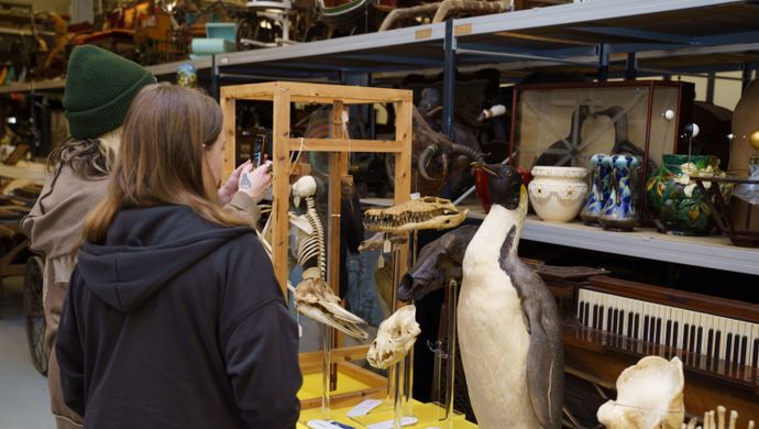 Two people looking at a taxidermy penguin and other items in Leeds Discovery Centre's collection store