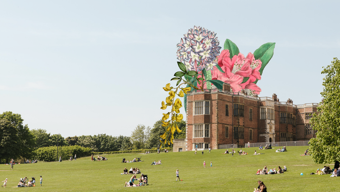 Temple Newsam House with illustrated flowers bursting from the building