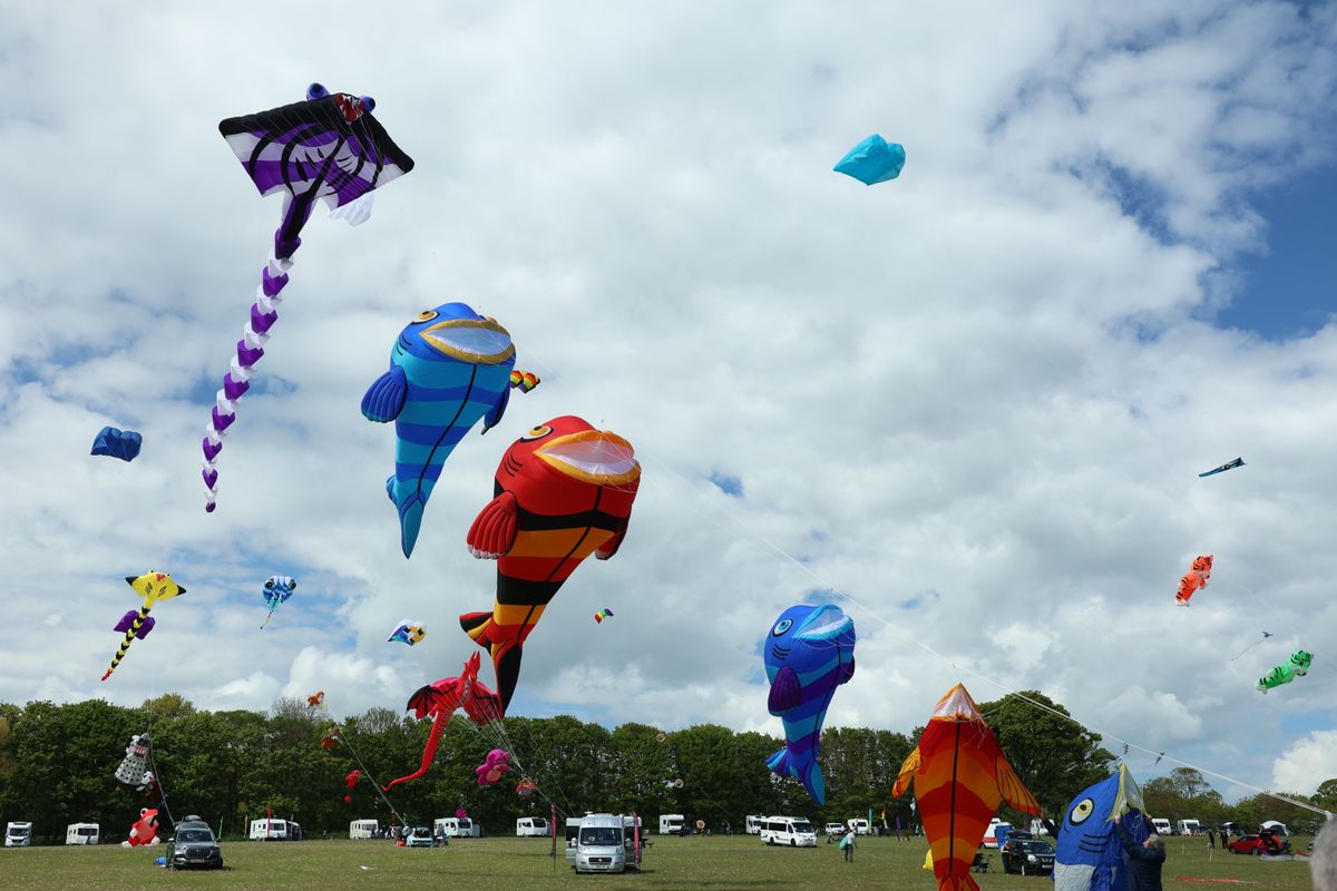 Flat colourful fish kites in the sky