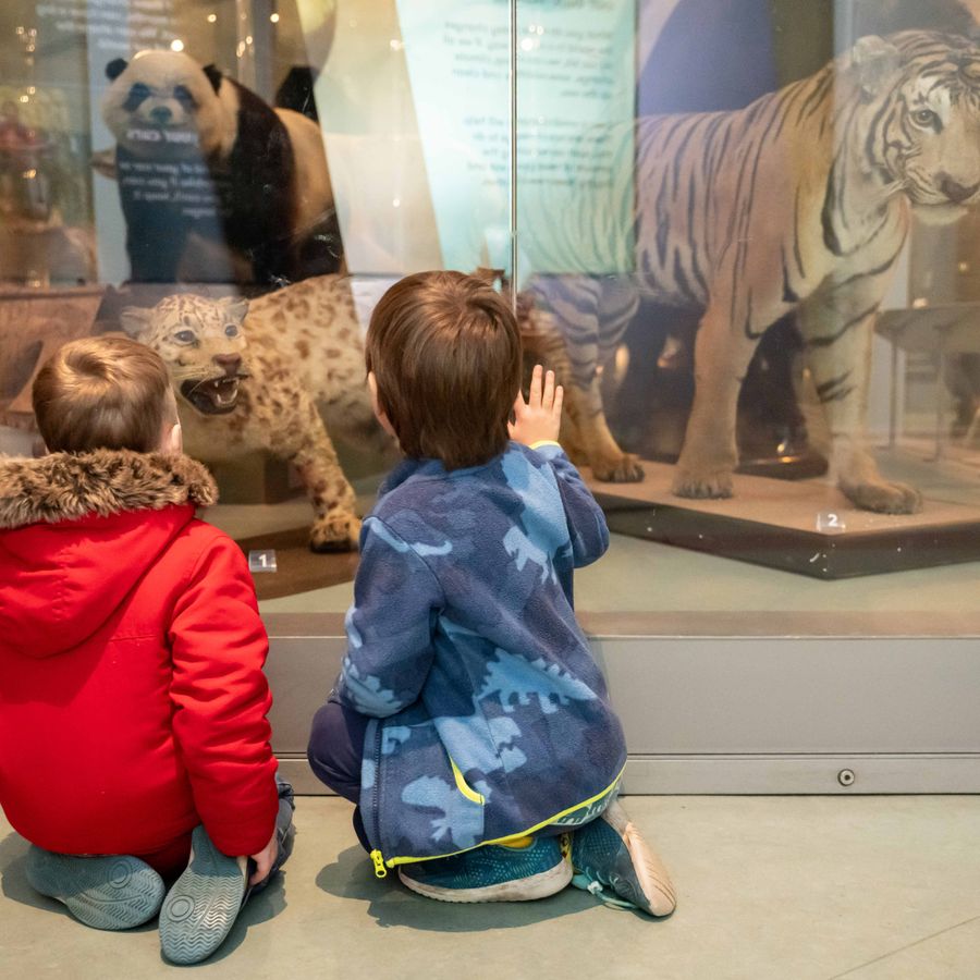 Visit Leeds City Museum