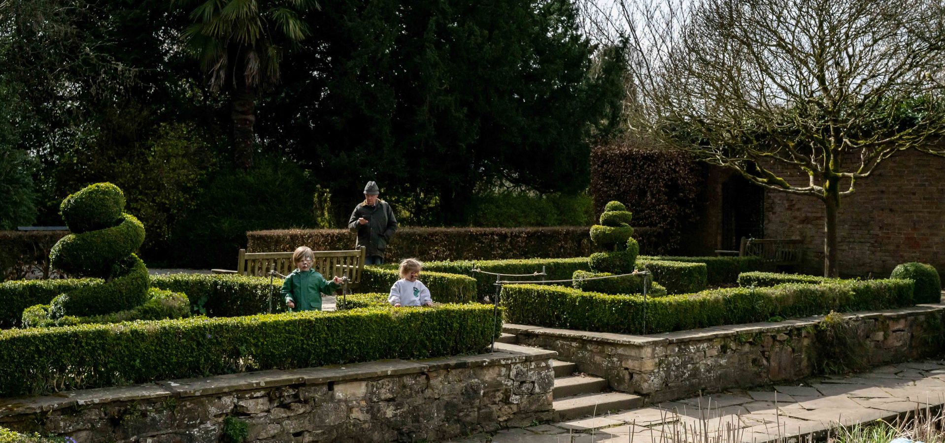Two children walking through low hedges with an adult watching over them