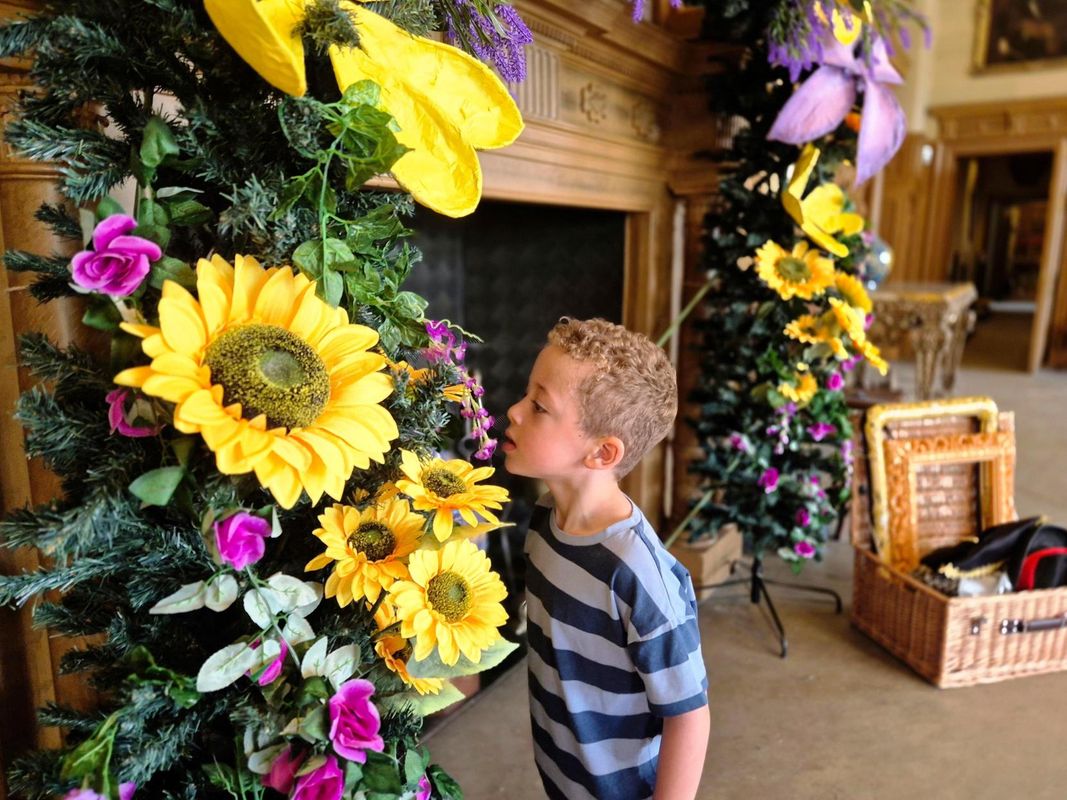 A child looking at a flower display in Temple Newsam