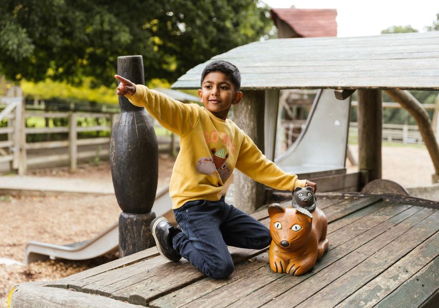 A boy playing in the playground.