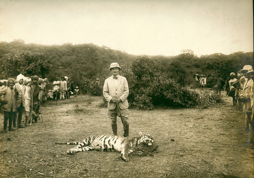 A man poses with a lifeless tiger.