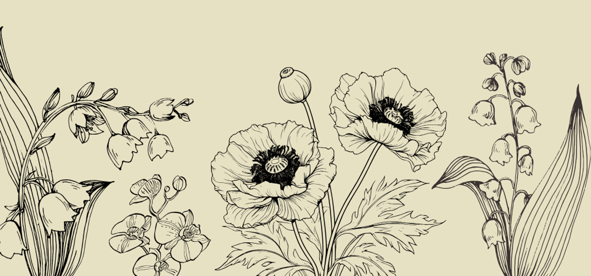 plants and flowers illustrated with black lines on a beige background