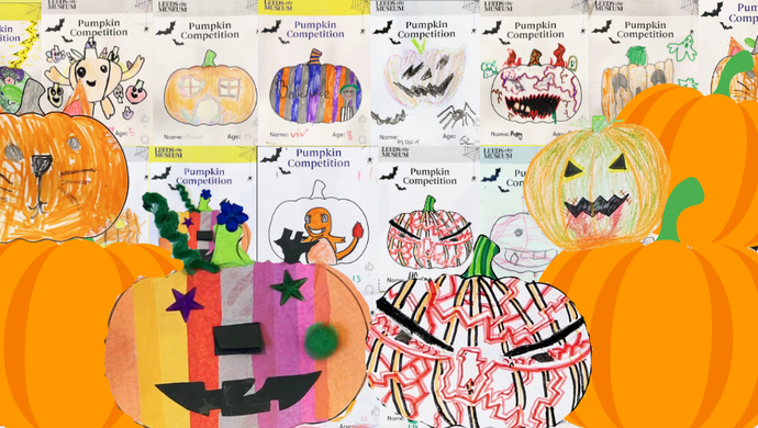 illustrated pumpkins on top of compeition entries of drawn pumpkins