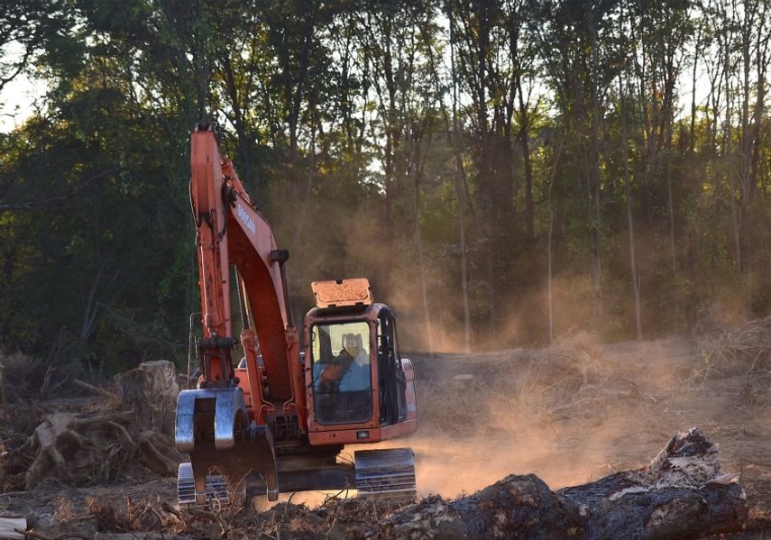 a bulldozer demolishes trees