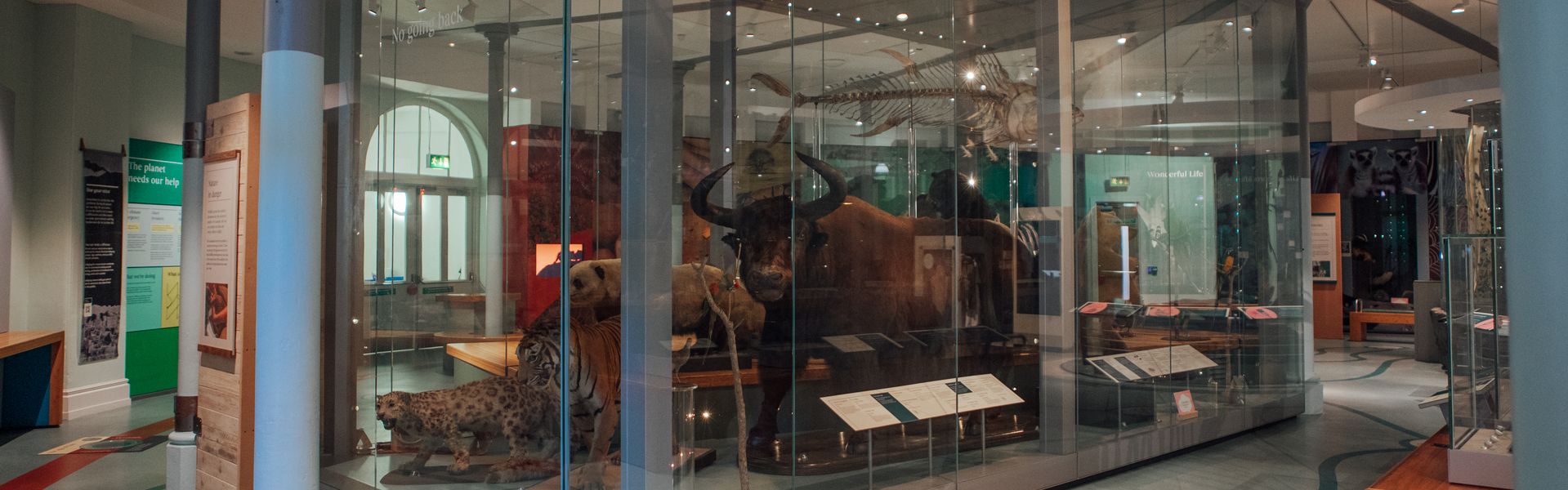 Photo of the Life on Earth Gallery in the Leeds City Museum